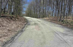 Lot 49 Val Disere Drive, Bellaire, MI 49615