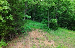 Mohawk Lane, Rocky Mount, MO 65072