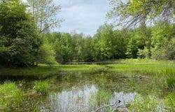 White Road, Parish, NY 13131