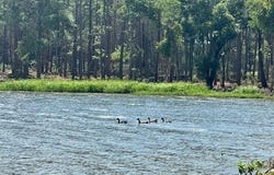 Cr 309 CR 309, Frankston, TX 75763