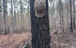 --Highway 9N, Banner, MS 38913