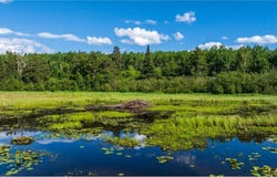 Tbd 240th Street, Akeley, MN 56433
