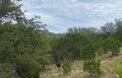Frio Canyon Loop, Concan, TX 78838