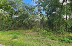 579 W OLYMPIA STREET, HERNANDO, FL 34442
