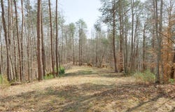 Seven Island Road, Danbury, NC 27016