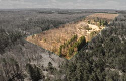 0 Cedar Creek Road, Fife Lake, MI 49633
