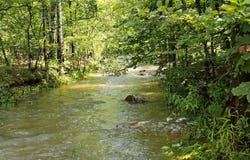 Hardy Creek and 70 Acres, Clayton, OK 74536