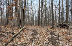 0 Town Hall Road, Springbrook, WI 54875