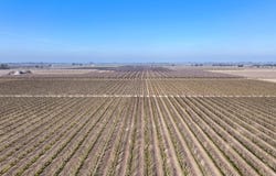 Elder Avenue, Hanford, CA 93230