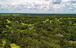 Tract 8 FM-1366, Wortham, TX 76693