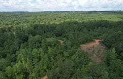 0 County Road 518, Roanoke, AL 36323