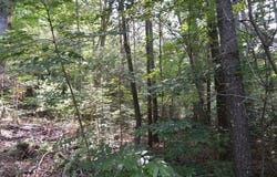 Lot 6 Baker Lane, Hiawassee, GA 30546