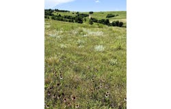 E16 Holmes Road, Hulett, WY 82720