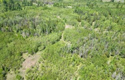 TBD CR 400, Perronville, MI 49807