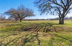 724 Gilliland Road, Springtown, TX 76082