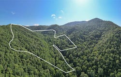 3871 Dicks Creek Road, Whittier, NC 28789