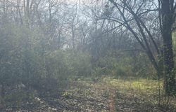 Rock Street, Malvern, AR 72104