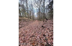 N Ricks Road, Byhalia, MS 38611