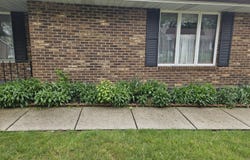 1141 W Brixton Drive, Springfield, OH 45503