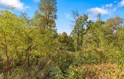 Lot 29 Peaceful  PL, Harrison, AR 72601