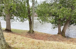 15370 Rapids Drive, Hersey, MI 49639