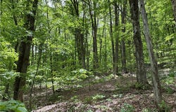 Woodland Hills Road, Andes, NY 13731