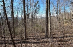 Lot 80 Asheland, Young Harris, GA 30582