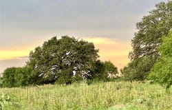 554 W Hwy 84 W Hwy 84, Goldthwaite, TX 76844