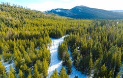 NHN Elk Creek - McGinnis Meadows Road Section 11, Libby, MT 59923
