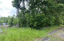0 Highway 65 and Highway 11, Grady, AR 71644