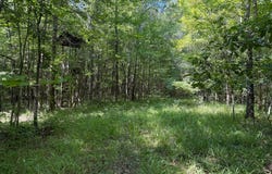 1230 W rd, Saulsbury, TN 38067