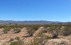 Polaris Avenue, Joshua Tree, CA 92252