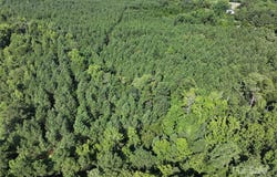 CHESTERFIELD Road, Wadesboro, NC 28170