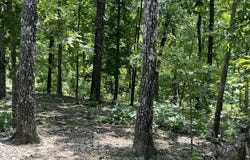 1001 Foxfield Road, Mammoth Spring, AR 72554