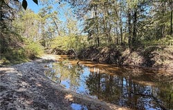 Highway 20, Butler, AL 36904