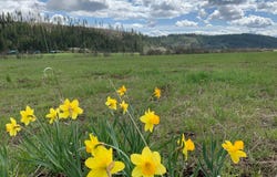 4681 Springdale Hunters Rd, Springdale, WA 99173