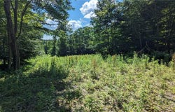 214 Larchwood Lane, Laurens, NY 13796
