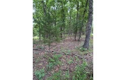 Beechnut Road, Stover, MO 65078