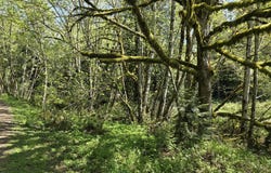 Mill Falls LN, Longview, WA 98632