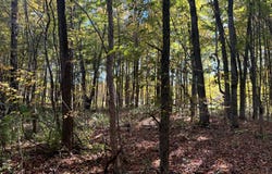 1.2 Wart Rd., Orwell, NY 13426