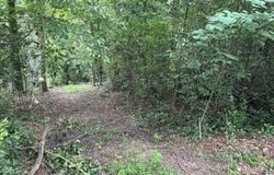 3736 Overlook Drive, Macon, GA 31204