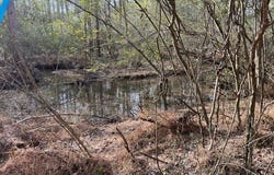 Mountain Creek Drive, Rome, GA 30161