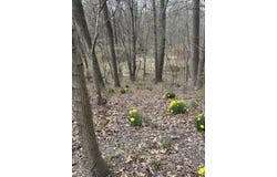 530 Rembert Court, Benton Harbor, MI 49022