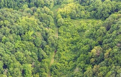 0 Sycamore Creek Road, Jamestown, KY 42629