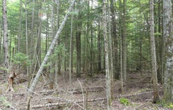 000 E Cemetery, Grand Marais, MI 49839