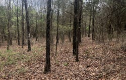TBD Alicia Lane, Howe, OK 74940