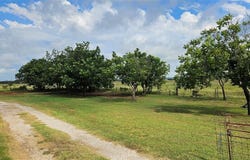 521 State Highway 16 N, Goldthwaite, TX 76844