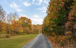 780 State Highway K, Long Lane, MO 65590