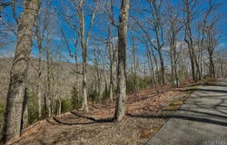 82-85 Waterdance Drive, Tuckasegee, NC 28783