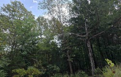 L42 B2 62/412 Highway, Hardy, AR 72542